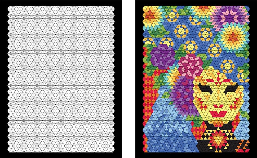 Mystery Color by number with 24 Markers