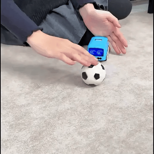 Lumiโข RC Mini Cars โ Gesture Control Follow-Me Cartoon Cars